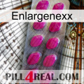 Enlargenexx 09